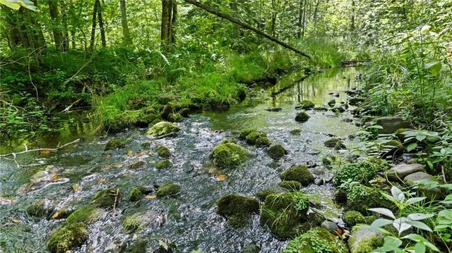 $7,493,400 | 2351-acres County Hwy C & Comet Rd 2351-acres County Highway, Exeland, WI 54835