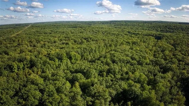 $7,493,400 | 2351-acres County Hwy C & Comet Rd 2351-acres County Highway, Exeland, WI 54835