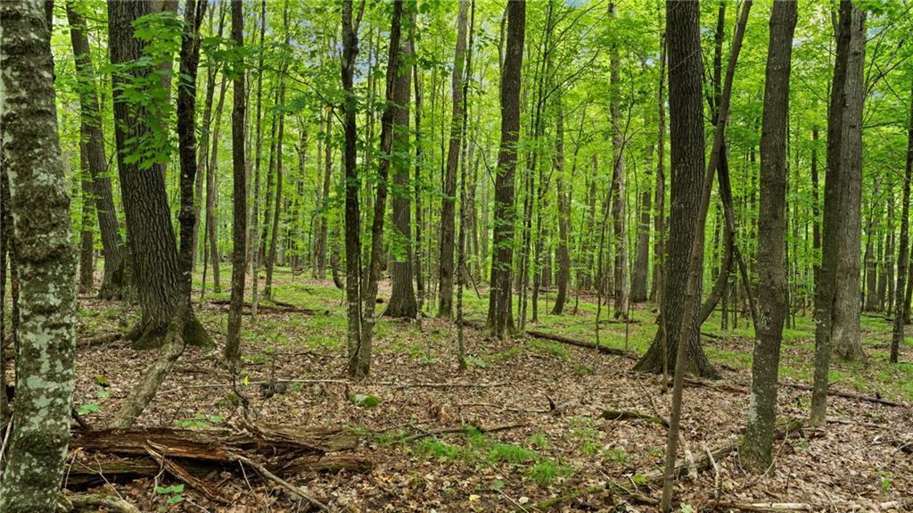 2351-acres County Hwy C & Comet Rd 2351-acres County Highway Exeland, WI 54835 - Photo 45 of 60