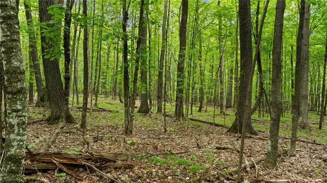 $6,674,200 | 1963-acres County Hwy C & Comet Rd 1963-acres County Highway, Exeland, WI 54835