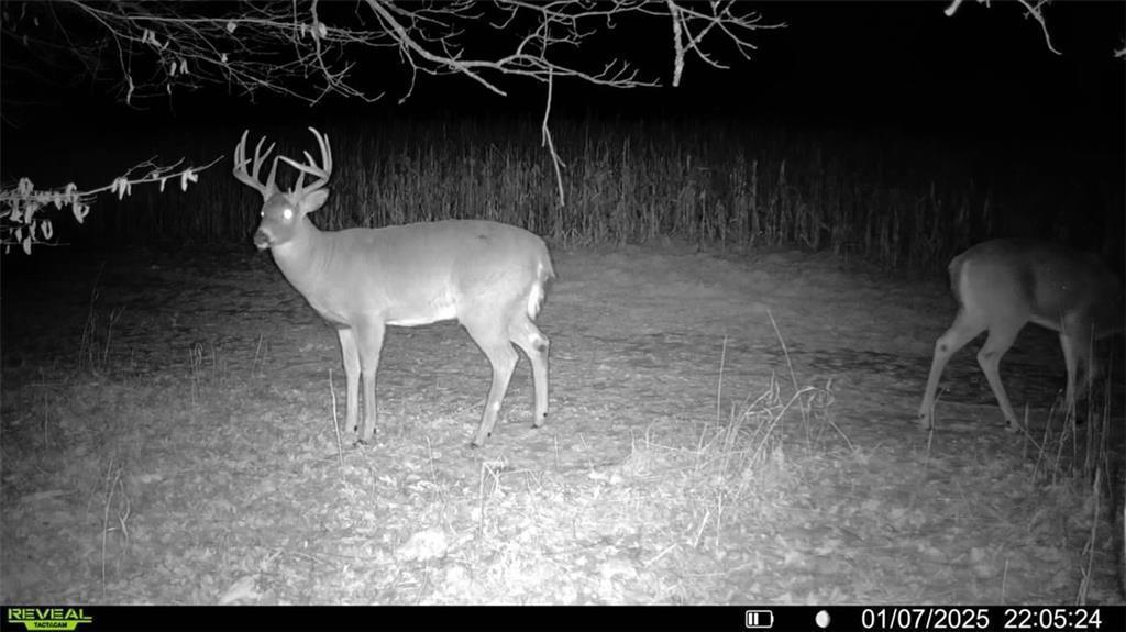 2351-acres County Hwy C & Comet Rd 2351-acres County Highway Exeland, WI 54835 - Photo 46 of 60