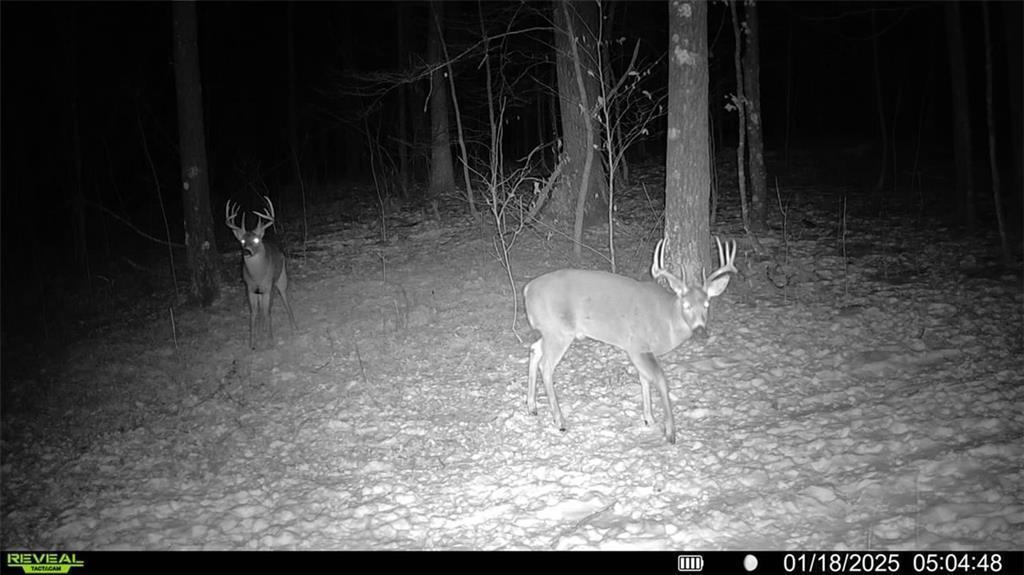 2351-acres County Hwy C & Comet Rd 2351-acres County Highway Exeland, WI 54835 - Photo 47 of 60
