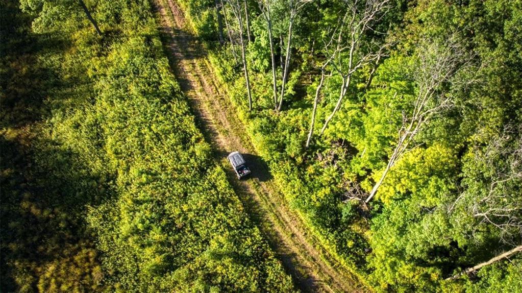 2351-acres County Hwy C & Comet Rd 2351-acres County Highway Exeland, WI 54835 - Photo 49 of 60