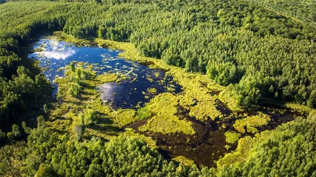 $6,674,200 | 1963-acres County Hwy C & Comet Rd 1963-acres County Highway, Exeland, WI 54835