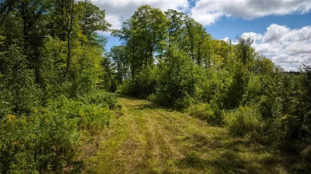 $7,493,400 | 2351-acres County Hwy C & Comet Rd 2351-acres County Highway, Exeland, WI 54835