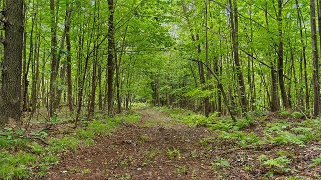 $6,674,200 | 1963-acres County Hwy C & Comet Rd 1963-acres County Highway, Exeland, WI 54835