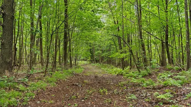 $7,493,400 | 2351-acres County Hwy C & Comet Rd 2351-acres County Highway, Exeland, WI 54835