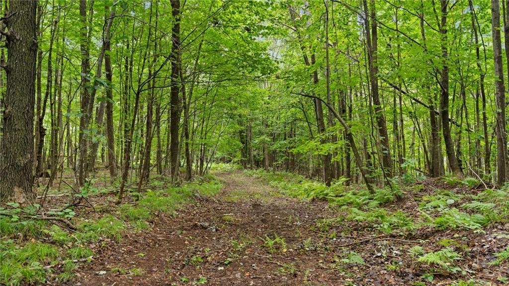 2351-acres County Hwy C & Comet Rd 2351-acres County Highway Exeland, WI 54835 - Photo 52 of 60