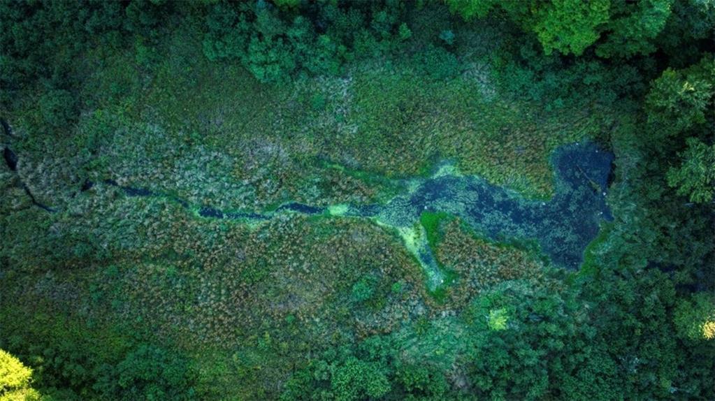 2351-acres County Hwy C & Comet Rd 2351-acres County Highway Exeland, WI 54835 - Photo 54 of 60