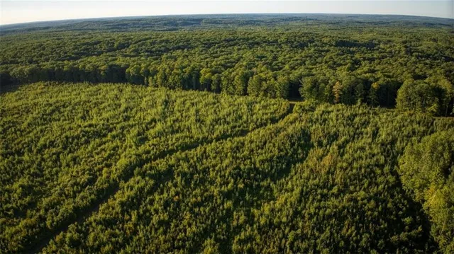 $6,674,200 | 1963-acres County Hwy C & Comet Rd 1963-acres County Highway, Exeland, WI 54835