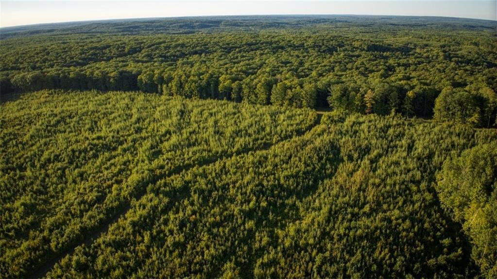 2351-acres County Hwy C & Comet Rd 2351-acres County Highway Exeland, WI 54835 - Photo 56 of 60