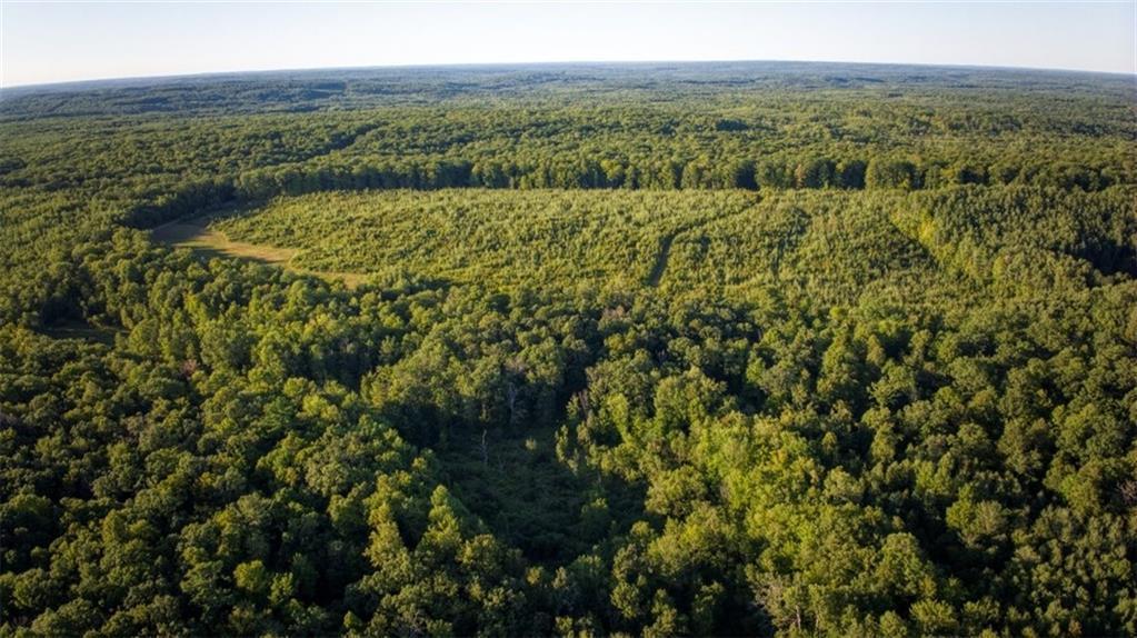 2351-acres County Hwy C & Comet Rd 2351-acres County Highway Exeland, WI 54835 - Photo 58 of 60