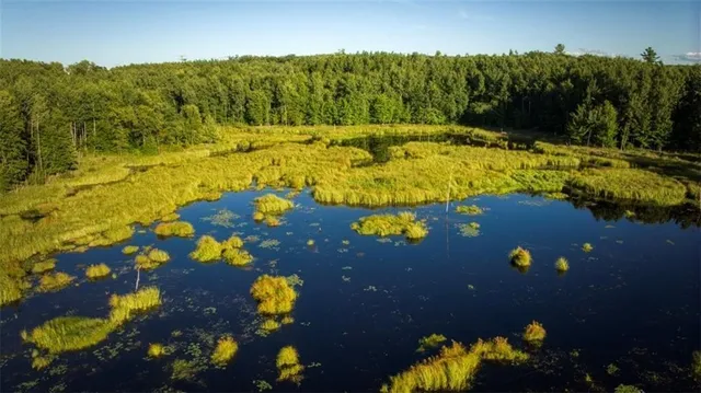 $7,493,400 | 2351-acres County Hwy C & Comet Rd 2351-acres County Highway, Exeland, WI 54835