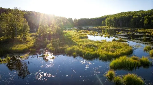 $7,493,400 | 2351-acres County Hwy C & Comet Rd 2351-acres County Highway, Exeland, WI 54835