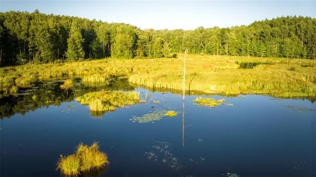 $7,493,400 | 2351-acres County Hwy C & Comet Rd 2351-acres County Highway, Exeland, WI 54835