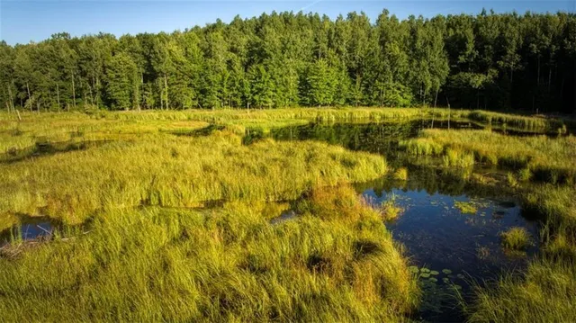 $7,493,400 | 2351-acres County Hwy C & Comet Rd 2351-acres County Highway, Exeland, WI 54835