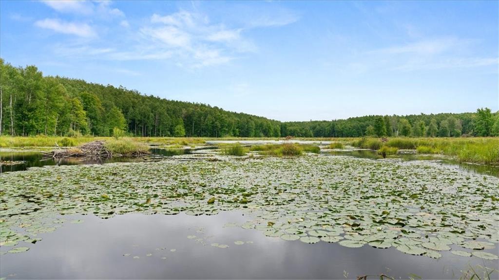 2351-acres County Hwy C & Comet Rd 2351-acres County Highway Exeland, WI 54835 - Photo 10 of 60