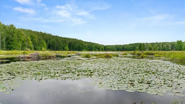 $6,674,200 | 1963-acres County Hwy C & Comet Rd 1963-acres County Highway, Exeland, WI 54835