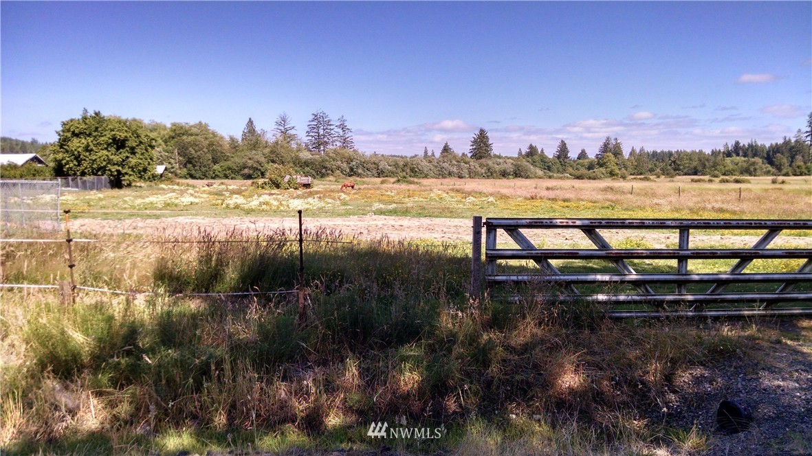 172 Moore Road Elma, WA 98541 - Photo 21 of 24 Gallery Image 21