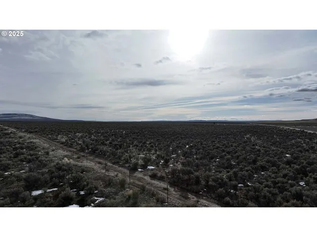 a view of city and mountain