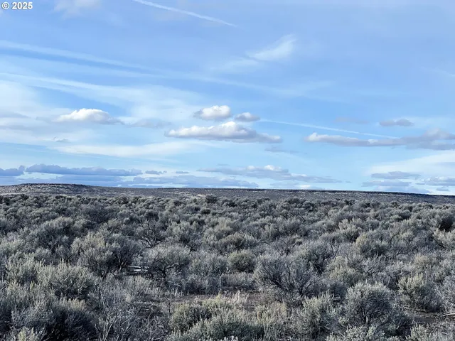 a view of a large mountain with lots of trees
