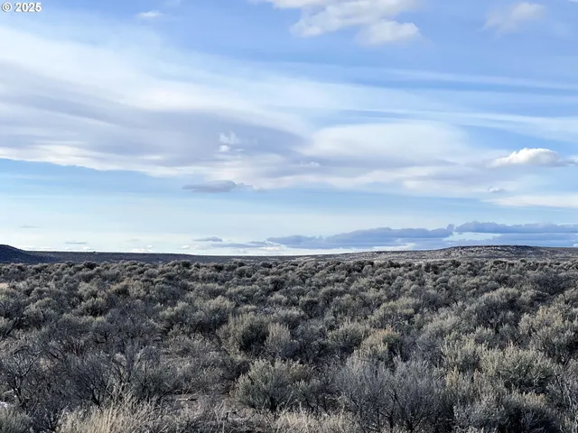 a view of a large mountain with lots of trees