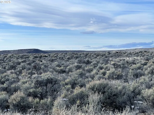 a black and white photo of a house