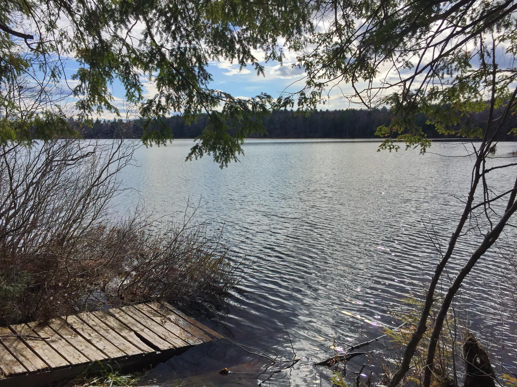 40 Moose Pond Road Otisfield, ME 04270 - Photo 9 of 12 IMG_4376