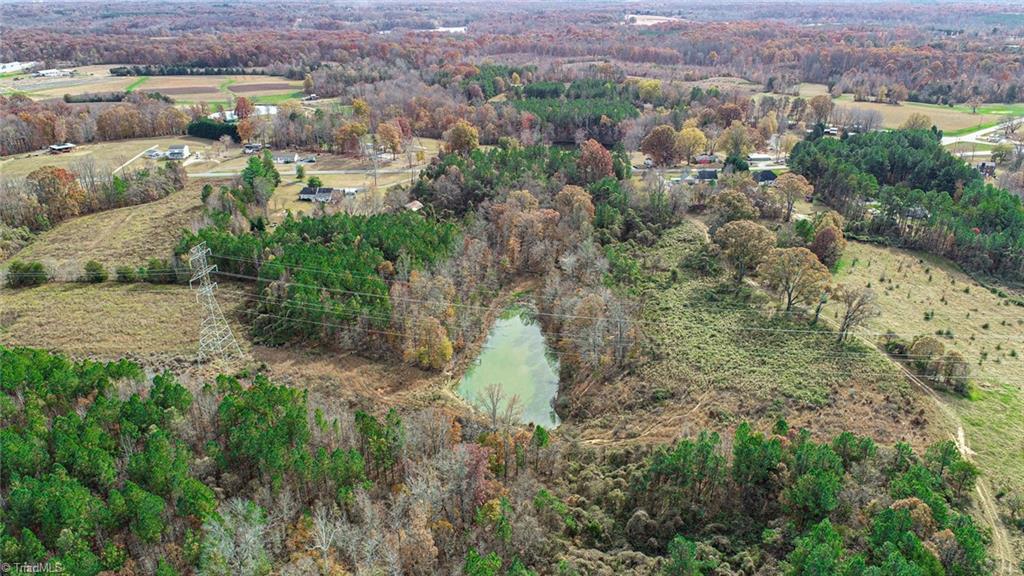 898 Sandy Cross Road Reidsville, NC 27320 - Photo 3 of 13