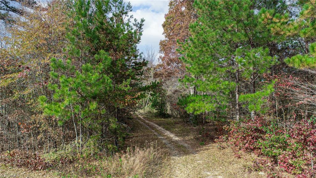 898 Sandy Cross Road Reidsville, NC 27320 - Photo 5 of 13