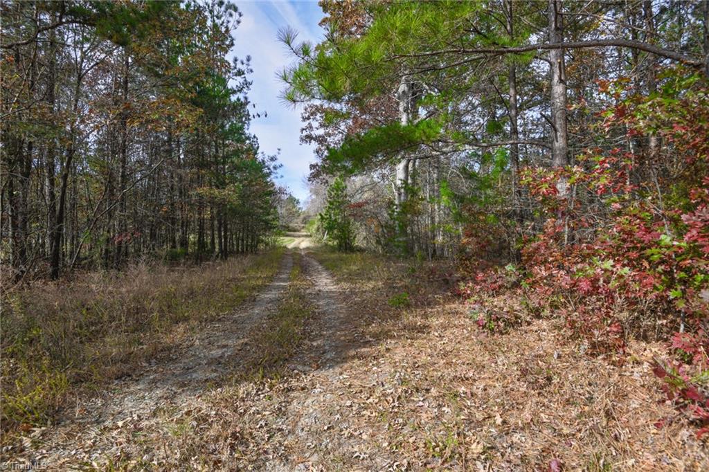 898 Sandy Cross Road Reidsville, NC 27320 - Photo 6 of 13