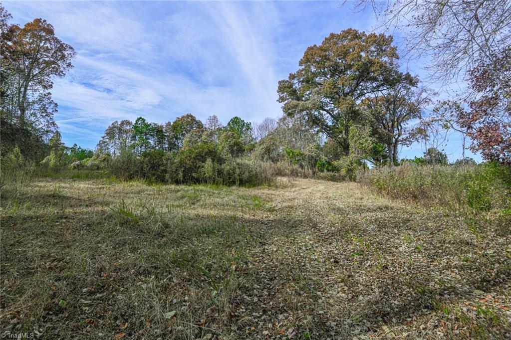 898 Sandy Cross Road Reidsville, NC 27320 - Photo 8 of 13