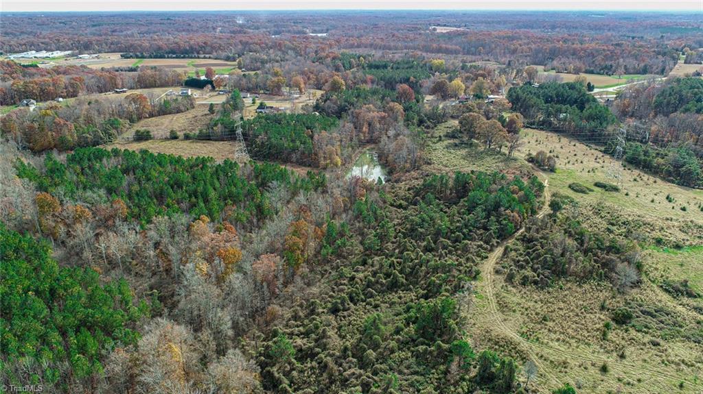 898 Sandy Cross Road Reidsville, NC 27320 - Photo 10 of 13