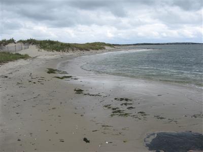 36 Pine Tree Road South Chatham, MA 02659 - Photo 15 of 15 Additional Photo