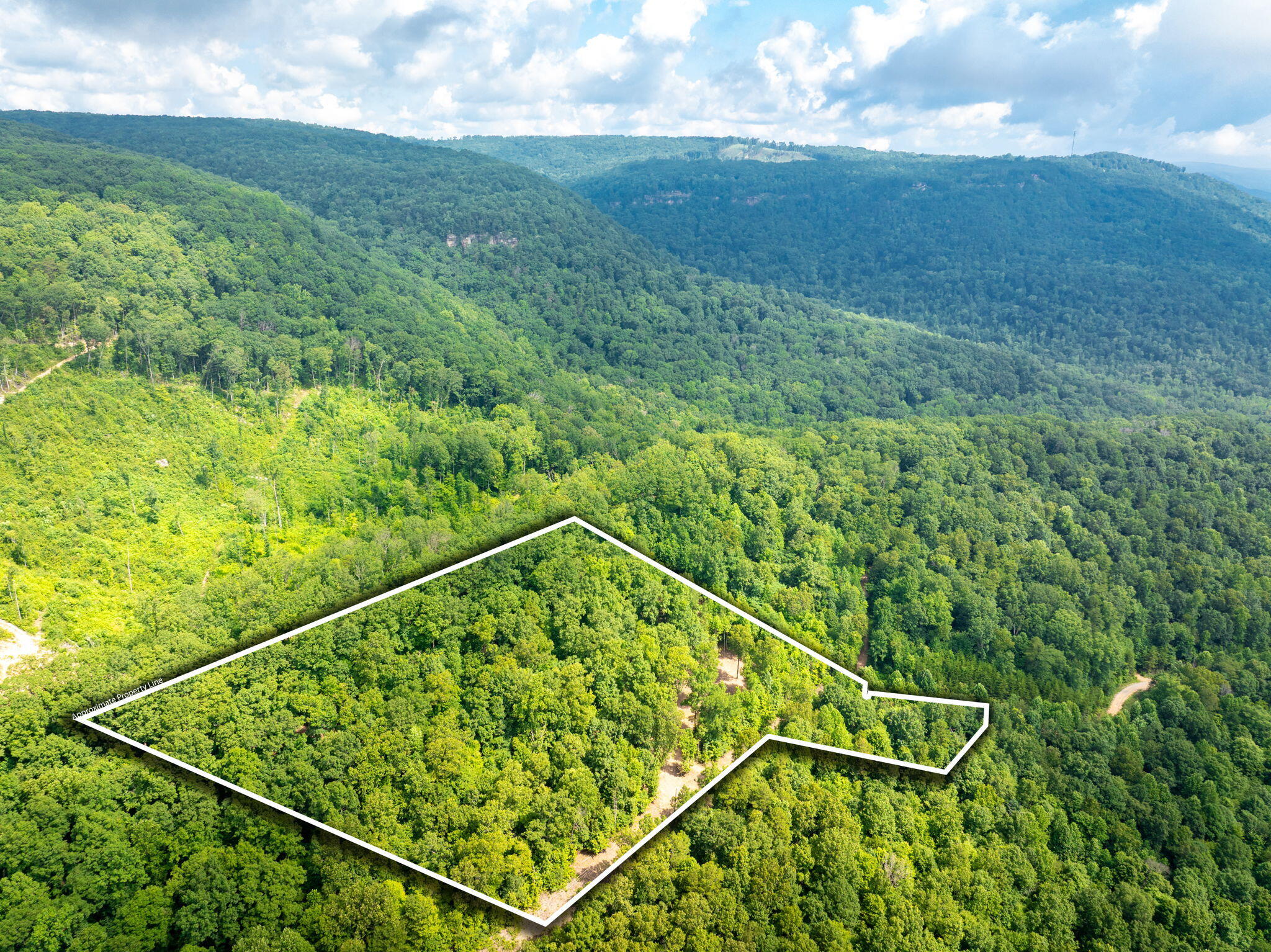 8-web-or-mls-DJI_20250711080817_0782_D-8