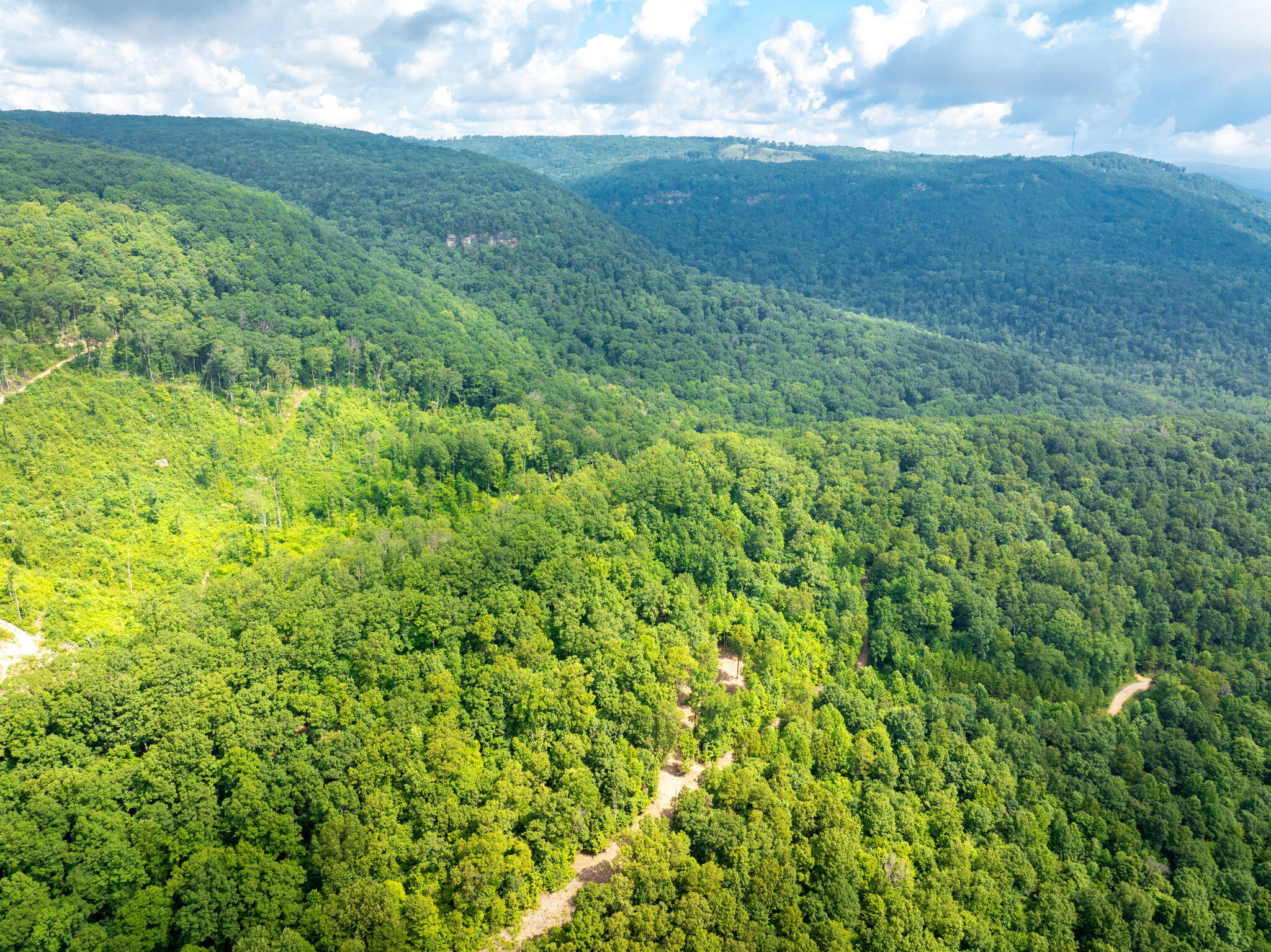 0 Jericho Road, Unit LOT 11 Dunlap, TN 37327 - Photo 11 of 15 9-web-or-mls-DJI_20250711080817_0782_D-8