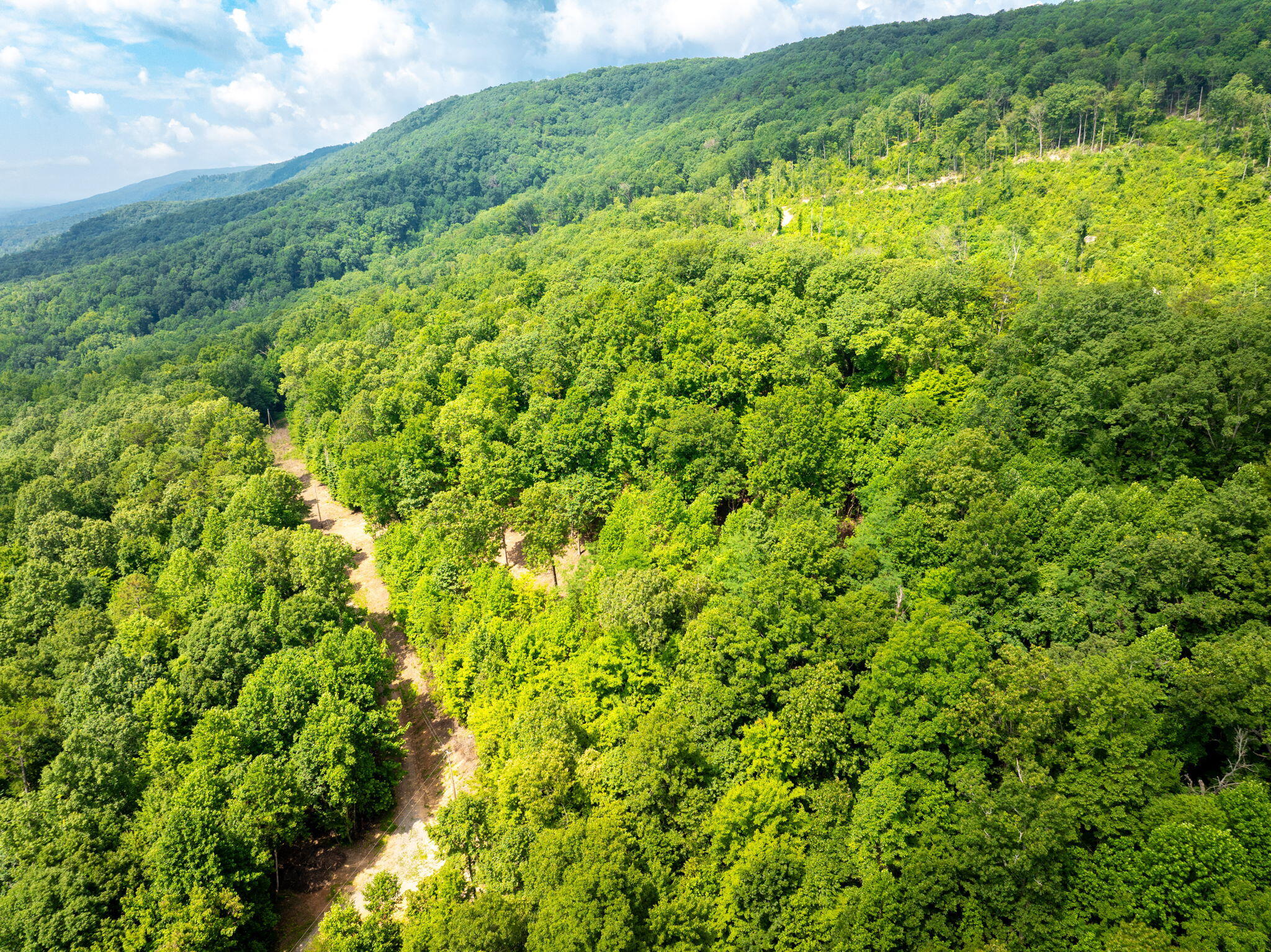 0 Jericho Road, Unit LOT 11 Dunlap, TN 37327 - Photo 12 of 15 12-web-or-mls-DJI_20250711080946_0785_D-