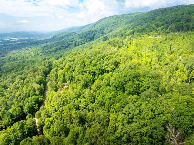 $48,000 | 0 Jericho Road, Unit LOT 11, Dunlap, TN 37327