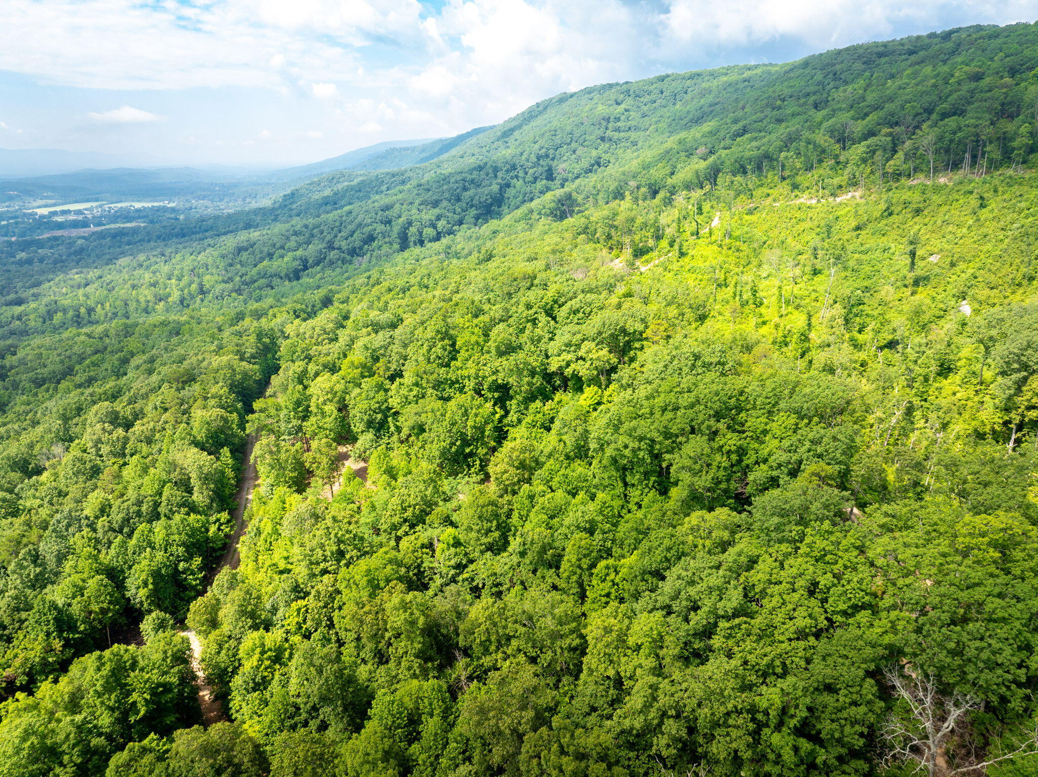 0 Jericho Road, Unit LOT 11 Dunlap, TN 37327 - Photo 13 of 15 13-web-or-mls-DJI_20250711080958_0786_D-