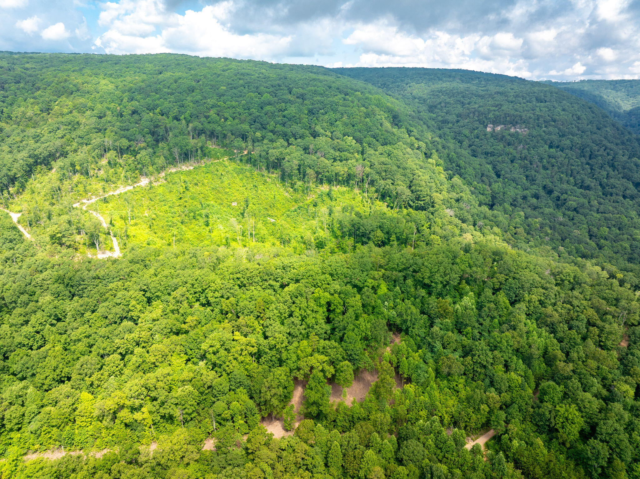 0 Jericho Road, Unit LOT 11 Dunlap, TN 37327 - Photo 5 of 15 1-web-or-mls-DJI_20250711080536_0775_D-1