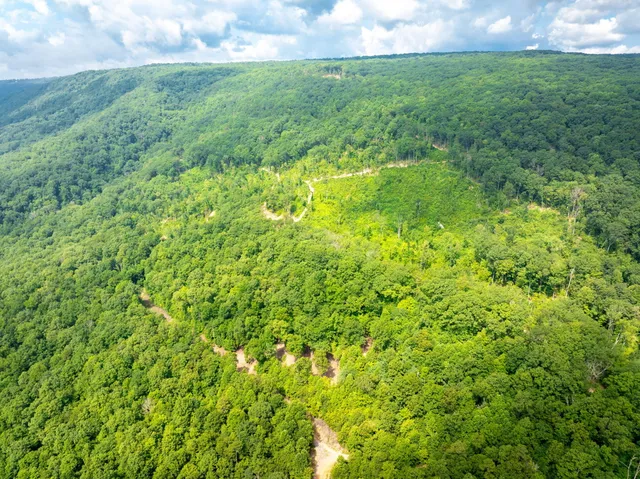 $48,000 | 0 Jericho Road, Unit LOT 11, Dunlap, TN 37327