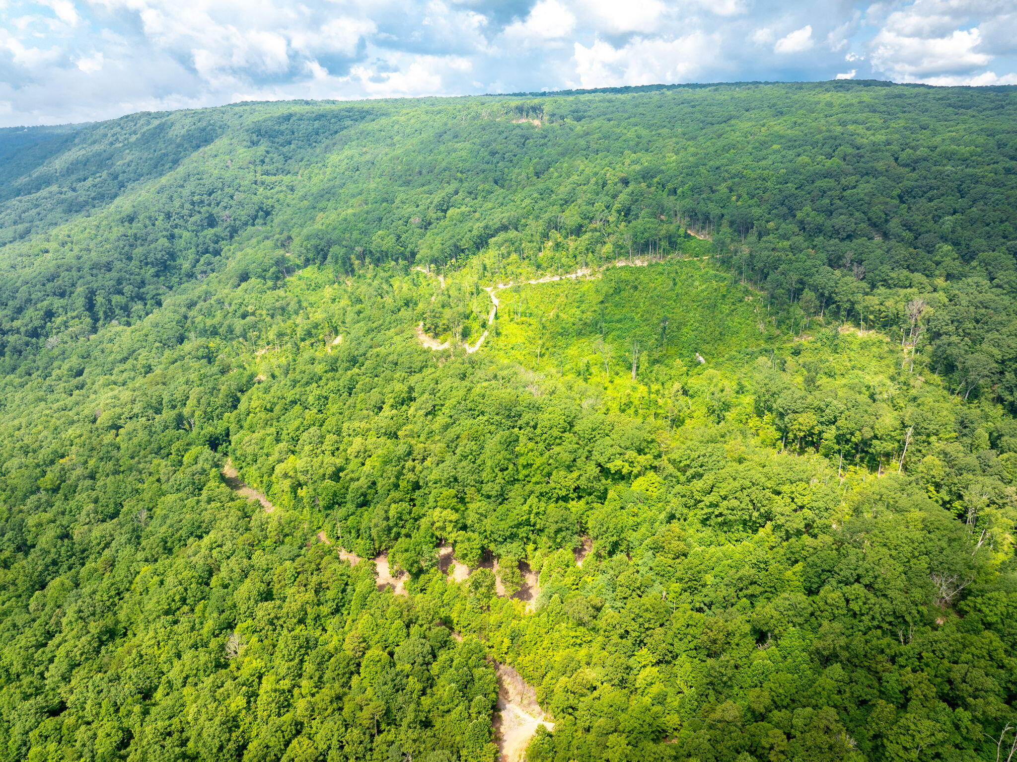 0 Jericho Road, Unit LOT 11 Dunlap, TN 37327 - Photo 6 of 15 2-web-or-mls-DJI_20250711080602_0776_D-2