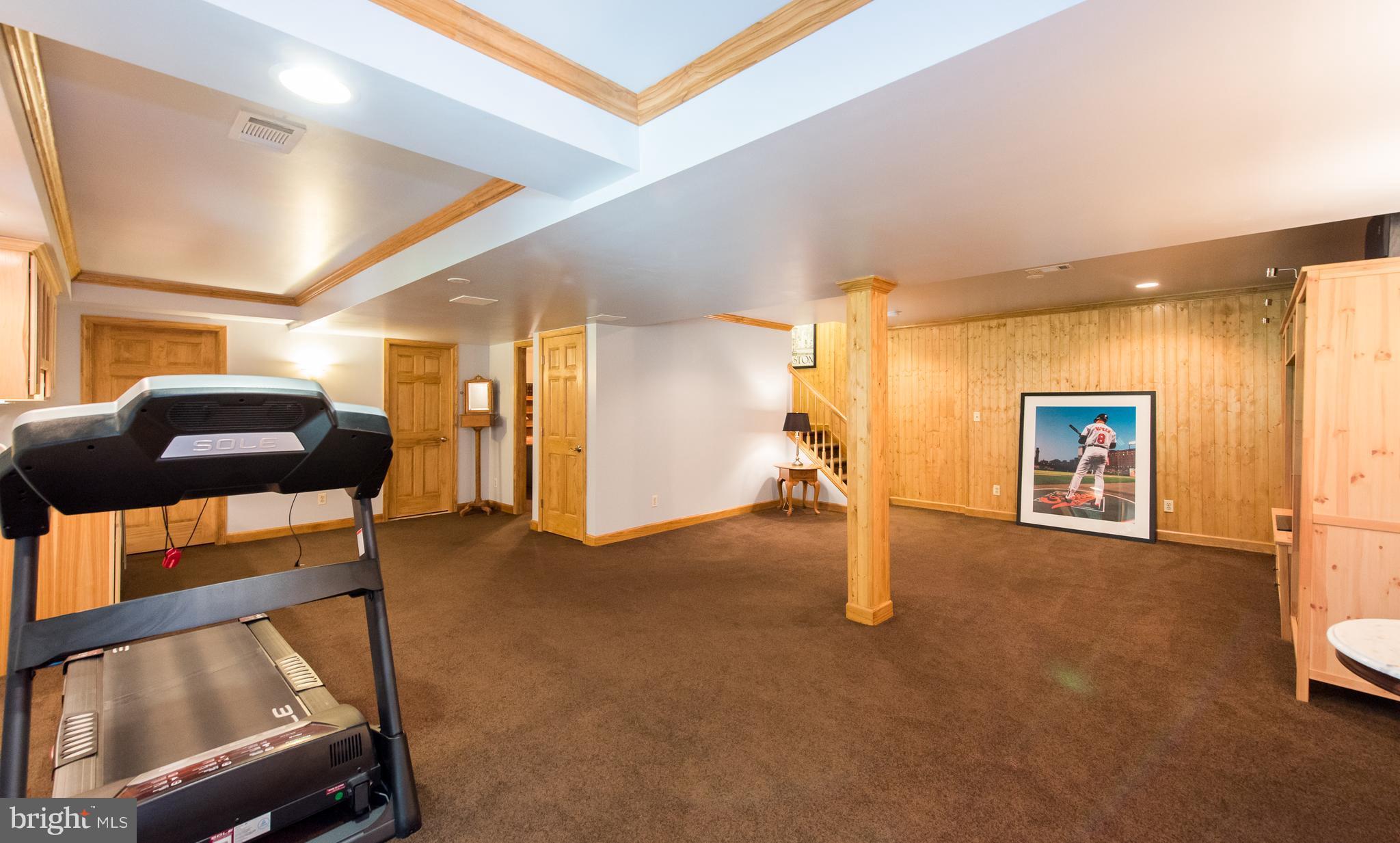 242 Lees Mill Road Hampstead, MD 21074 - Photo 22 of 30 Lower Level Rec Room