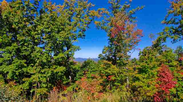 103 Long View Court Pickens, SC 29671 - Photo 5 of 25