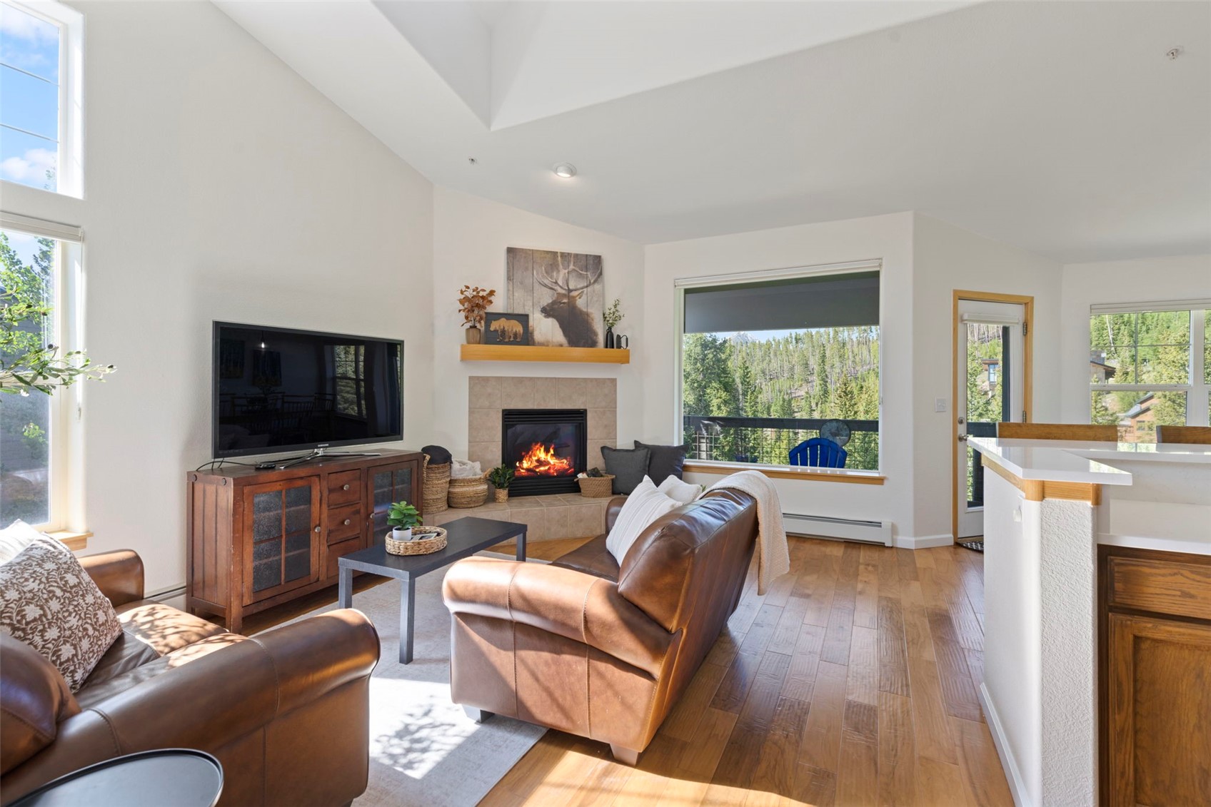 91399 Ryan Gulch Road, Unit B1 Silverthorne, CO 80498 - Photo 8 of 41