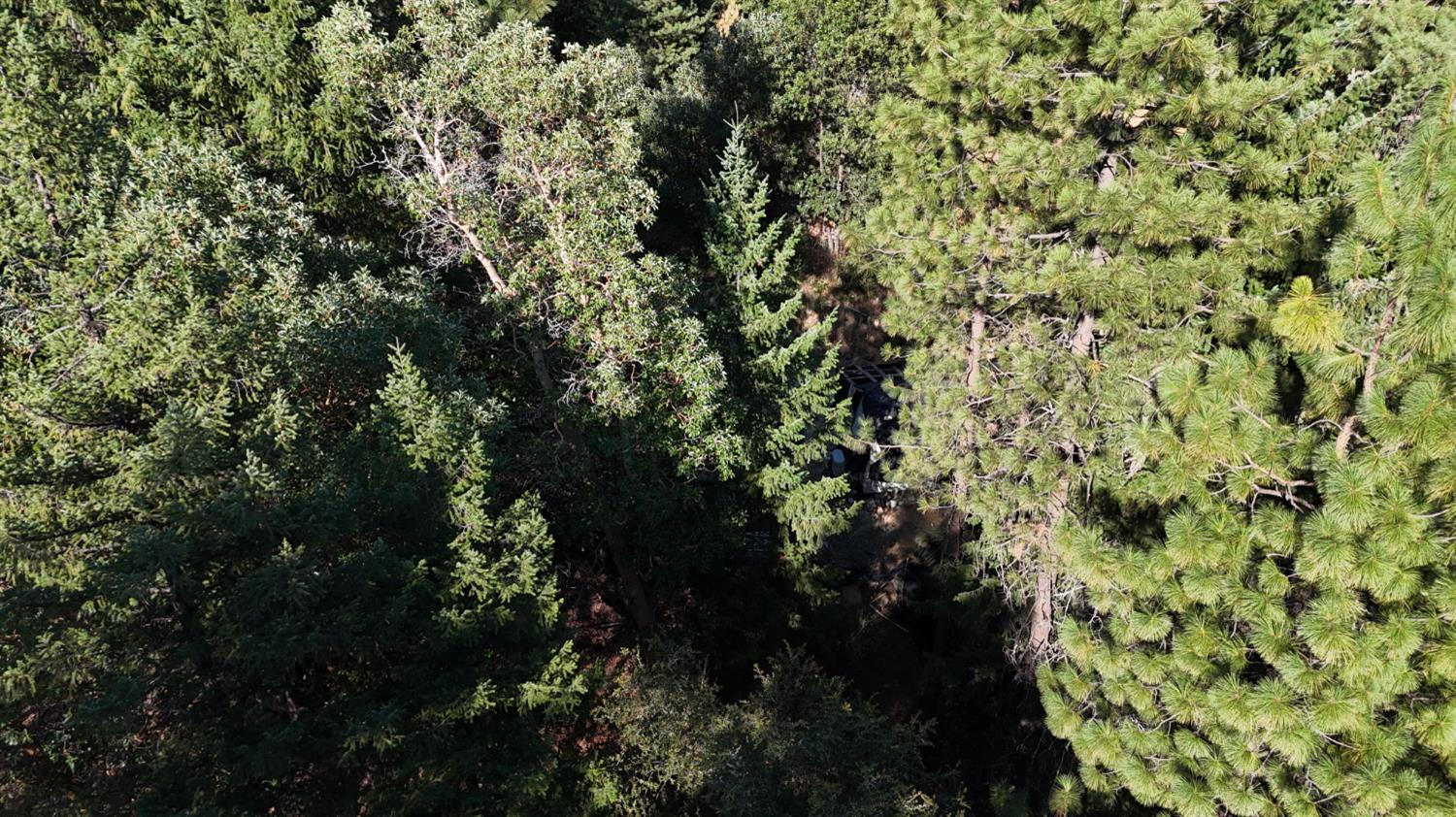 360 Power Line Road Hayfork, CA 96041 - Photo 4 of 18 Gallery Image 4