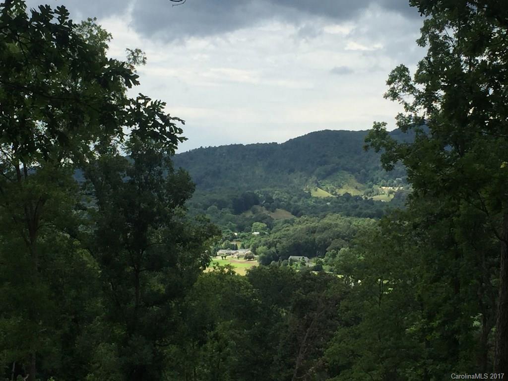 0 Harveys Mountain Road Clyde, NC 28721 - Photo 1 of 2