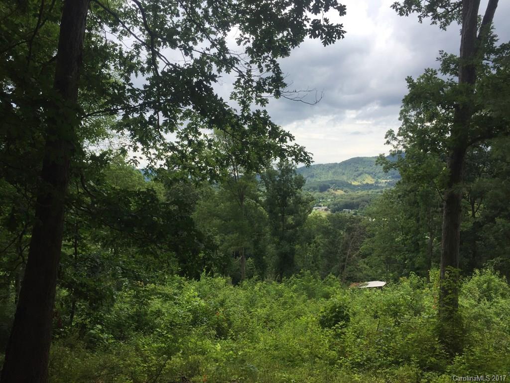 0 Harveys Mountain Road Clyde, NC 28721 - Photo 2 of 2