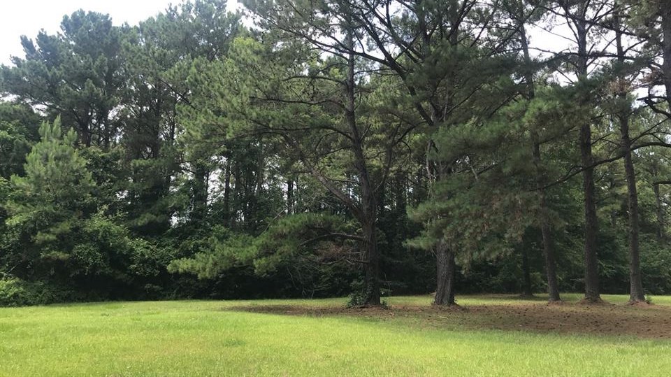 7045 Oak Point Lane Fairhope, AL 36532 - Photo 2 of 10
