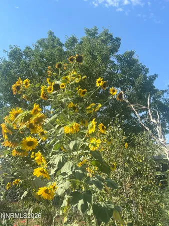 $565,000 | 1371 White Bluffs Circle, Fernley, NV 89408